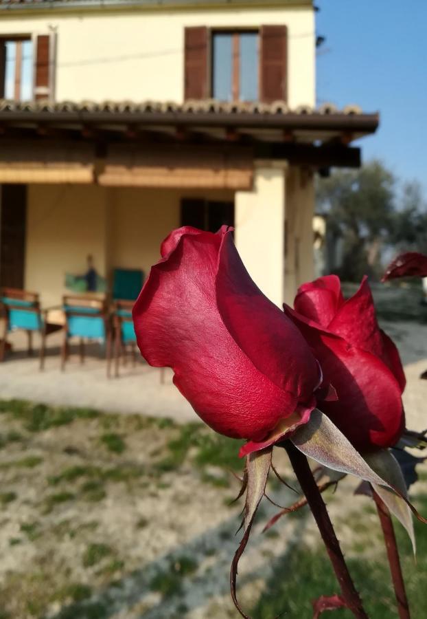 לורטו אפרוטינו B&B Conca Del Pretore מראה חיצוני תמונה