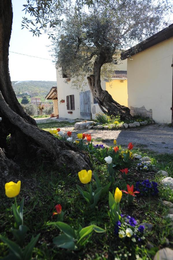 לורטו אפרוטינו B&B Conca Del Pretore מראה חיצוני תמונה